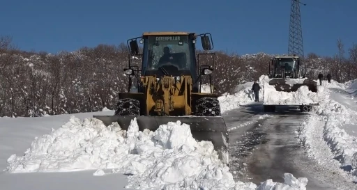 Varto’da 11 köy yolu ulaşıma kapandı
