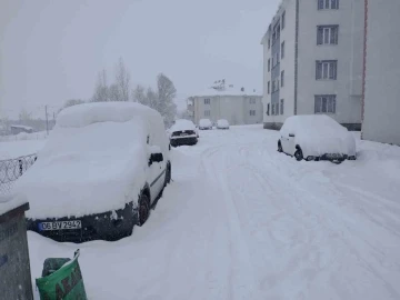 Varto’da karla mücadele çalışması
