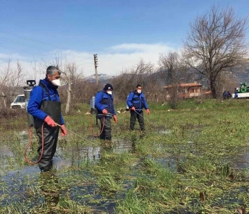 Vektörle mücadele devam ediyor
