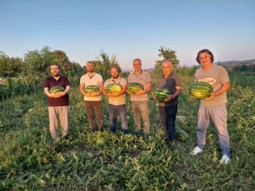 Vezirköprü Ovası’nda alternatif ürün ’karpuz’
