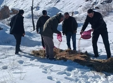 Yaban hayvanları unutulmadı
