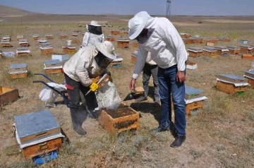 Yağışlar arıcılara bereket olacak
