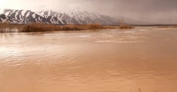 Yağışlar sonrası Yüksekova’nın ovası göle döndü
