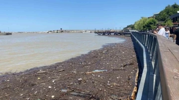 Yağmur sonrası çöp ve odun parçaları limanda toplandı
