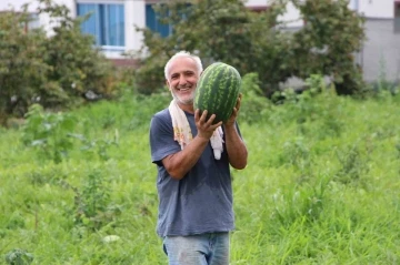 Yalıncak karpuzu tehlike altında
