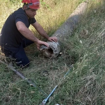 Yalova’da boru içinde mahsur kalan kaplumbağa kurtarıldı
