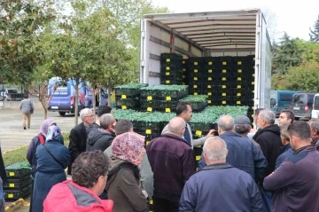 Yalova’da çiftçilere 252 bin adet sebze fidesi dağıttı