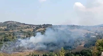 Yalova’da korkutan anız yangını
