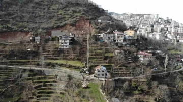 Yamaçtan kopan dev kaya iki evin arasından geçerek tarım arazilerine düştü