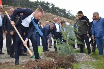 Yanan alanı muhtarlar yeniden yeşillendirecek
