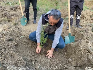 Yanan ormanlık alanları basın mensupları yeşertiyor
