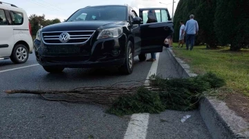 Yaralamalı kaza sonrası yola konulan dal zincirleme kazaya neden oldu
