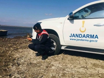 Yaralı ördek jandarma ekiplerince kurtarıldı
