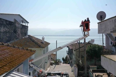 Yaren leylek ve komşularının yeni yuvaları hazır