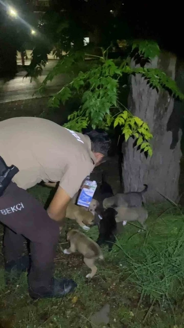 Yavru köpeklerin karnını doyuran bekçiler yürekleri ısıttı
