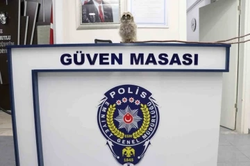 Yavru puhuya polisten “güven” mesajı
