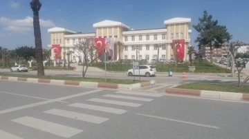 Yaya geçidindeki feci kaza kamerada
