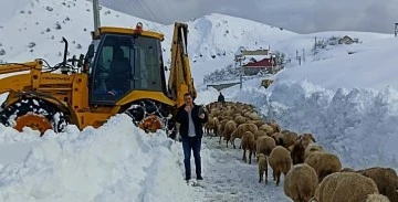  Yaylada 3 gün mahsur kalan aileyi ekipler kurtardı