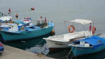 Yeni av sezonu öncesinde palamudun görüntü vermesi balıkçıları umutlandırdı