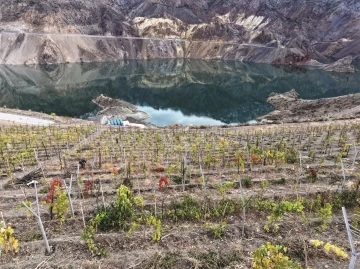 Yeni Yusufeli’nde sosyo ekonomik hayat yeniden inşa ediliyor
