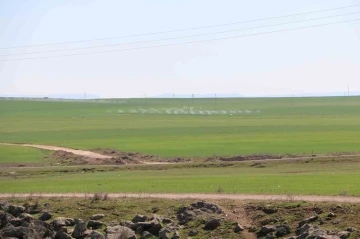 Yer altındaki canlılar depremi öncesinden hissettiği için zararı minimum yaşadı
