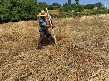 Yere yatan ekinlere biçerdöver giremeyince tırpanlar sahneye çıktı
