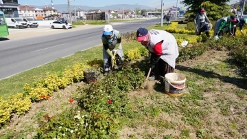 Yeşil Düzce için çalışıyorlar
