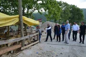 Yetkilerden kurban uyarısı: Cadde, sokak ve parkta kurban kesmek yasak
