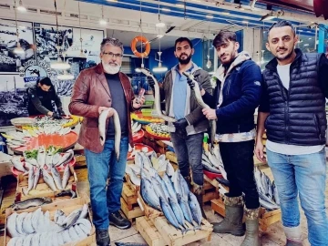 Yılan balıkları göçleri kadar besin değerleri ile de ilgi çekmeye başladı