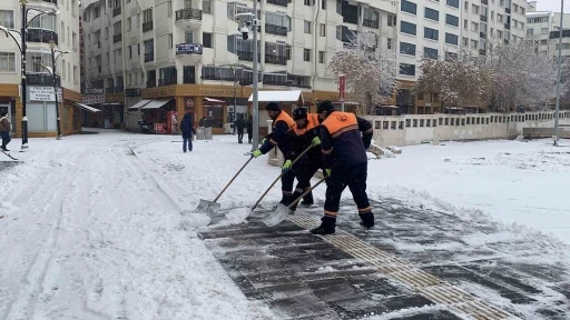 Yılbaşında beklenen kar ocak sonlarında yağdı
