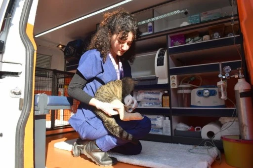 Yıldırım Belediyesi'nden can dostlarımız için özel ambulans