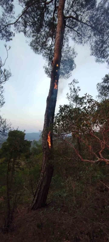 Yıldırımın neden olduğu yangın kısa sürede söndürüldü
