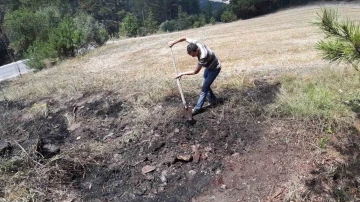 Yol kenarına atılan sigara yangına neden oldu
