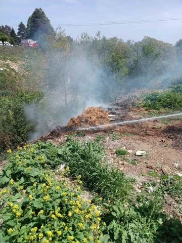 Yol kenarındaki çürümüş samanlar alev aldı
