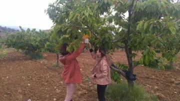 Yoldaş, üreticileri uyardı
