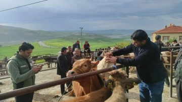 Yozgat’ta hayvan pazarları tedbir amacıyla kapatıldı
