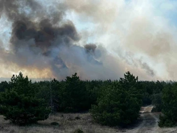 Yozgat’ta orman yangınına müdahale sürüyor
