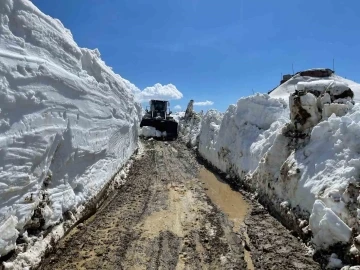 Yüksekova’da 5 metreyi bulan karda yol açma çalışması
