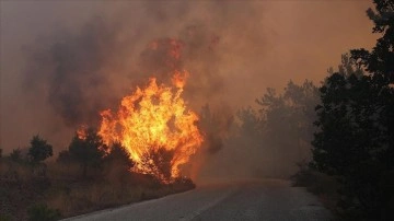 Yunanistan'daki yangınlarda düzensiz göçmenler de çıkış yolu arıyor