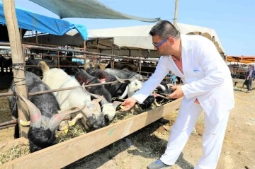 Yüreğir’de kurban satış ve kesim yerleri belirlendi
