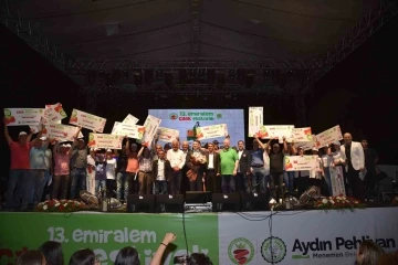 Yüz binler Emiralem Çilek Festivalinde buluştu
