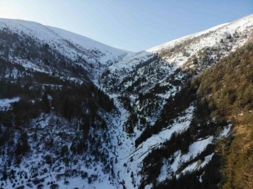 Zigana’da yaşanan çığ felaketinin 14. yılında Zigana Dağı karsız kaldı
