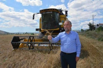 Zile’de ata tohumu ’Karakılçık Buğdayı’ hasadı yapıldı
