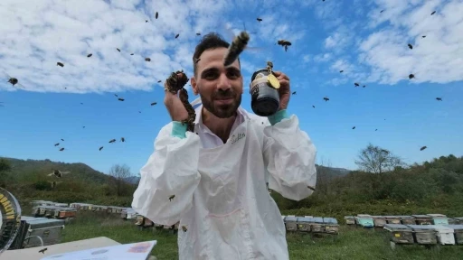 Zonguldak kestane balının kalitesi dünyaya ulaştı
