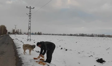 Zorlu kış şartlarında hayvanlara kucak açtı
